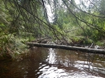 Culvert Crossing, Willow Brook, Pembroke, Maine