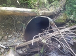 Culvert Crossing, Willow Brook, Pembroke, Maine