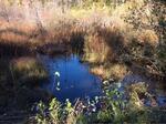 Multiple Culvert Crossing, Trib To Pennamaquan River Reservoir, Charlotte, Maine
