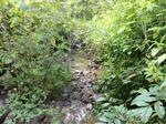 Culvert Crossing, Trib To Pennamaquan, Pembroke, Maine