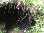 Culvert Crossing, Trib To Pennamaquan, Pembroke, Maine