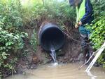 Culvert Crossing, Trib To Pennamaquan, Pembroke, Maine