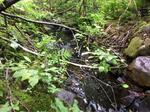 Culvert Crossing, Baring Plt, Maine
