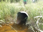 Culvert Crossing, Trib To Little Kennebec Bay, Machias, Maine