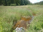 Culvert Crossing, Trib To Little Kennebec Bay, Machias, Maine