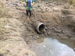 Culvert Crossing, Perry, Maine