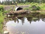 Culvert Crossing, Pembroke, Maine