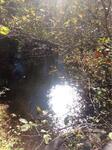 Culvert Crossing, Perry, Maine