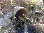 Culvert Crossing, Perry, Maine