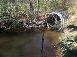 Culvert Crossing, Perry, Maine