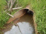 Culvert Crossing, Baring Plt, Maine