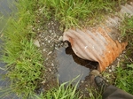 Culvert Crossing, Baring Plt, Maine