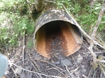 Culvert Crossing, Eastport, Maine