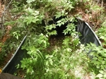 Culvert Crossing, Eastport, Maine