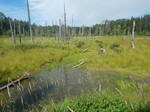 Multiple Culvert Crossing, Pembroke, Maine