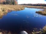 Culvert Crossing, Taylor Brook, Pembroke, Maine