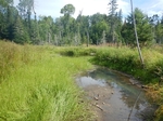 Bridge Crossing, Cathance River, Edmunds Twp, Maine