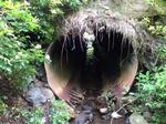 Culvert Crossing, Jonesboro, Maine