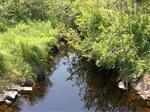 Culvert Crossing, Whiting, Maine