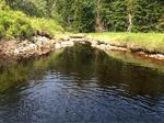 Culvert Crossing, Cutler, Maine