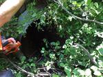 Culvert Crossing, Schooner Brook, Cutler, Maine