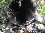 Culvert Crossing, Schooner Brook, Cutler, Maine