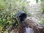 Multiple Culvert Crossing, Bog Brook, Cutler, Maine