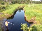 Culvert Crossing, Cutler, Maine