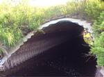Culvert Crossing, Cutler, Maine
