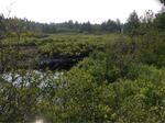 Culvert Crossing, Cutler, Maine