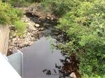 Bridge Crossing, Trib To Moose River, Trescott Twp, Maine