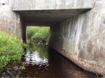 Bridge Crossing, Trib To Moose River, Trescott Twp, Maine