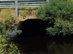 Culvert Crossing, Trib To Money Cove, Cutler, Maine
