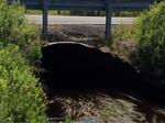 Culvert Crossing, Trib To Money Cove, Cutler, Maine