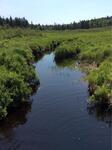 Culvert Crossing, Trib To Money Cove, Cutler, Maine