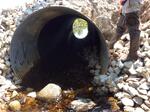 Culvert Crossing, Trib To Money Cove, Cutler, Maine