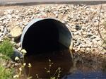 Culvert Crossing, Trib To Money Cove, Cutler, Maine