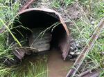 Culvert Crossing, Trescott Twp, Maine