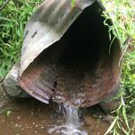 Culvert Crossing, Trescott Twp, Maine