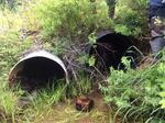 Multiple Culvert Crossing, Trescott Twp, Maine