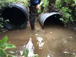 Multiple Culvert Crossing, Trescott Twp, Maine