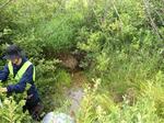 Multiple Culvert Crossing, Trescott Twp, Maine