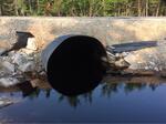Culvert Crossing, Cutler, Maine