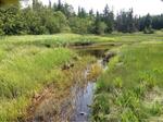 Culvert Crossing, Cutler, Maine