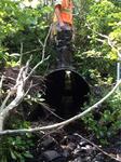 Culvert Crossing, Trib To Little River Cove, Cutler, Maine