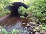 Culvert Crossing, Trescott Twp, Maine