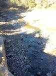 Culvert Crossing, Smelt Brook, Perry, Maine