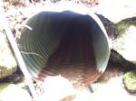 Culvert Crossing, Dennysville, Maine