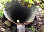 Culvert Crossing, Dennysville, Maine