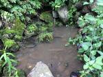 Culvert Crossing, Dennysville, Maine